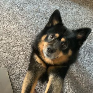 Meet your Posher, Charles